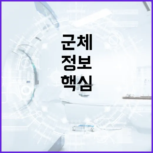 군체 정보 제대로 이해하기: 핵심 포인트 - 요약