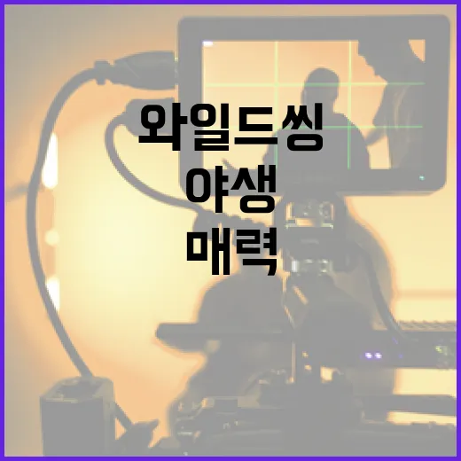 와일드 씽: 잘 몰랐던 야생의 매력을 알아보자 - 요약