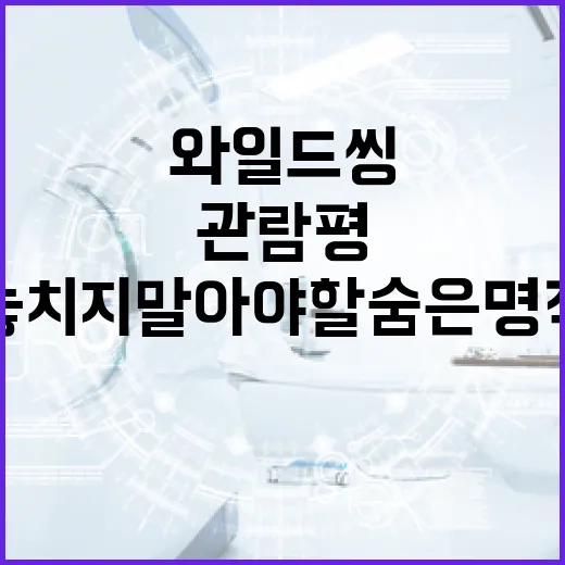 와일드 씽 관람평: 놓치지 말아야 할 숨은 명작 - 요약