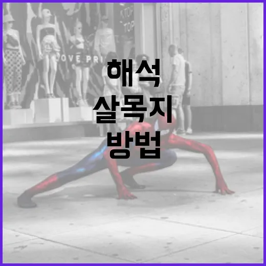 살목지 해석의 모든 것: 알기 쉽게 접근하는 방법 - 요약