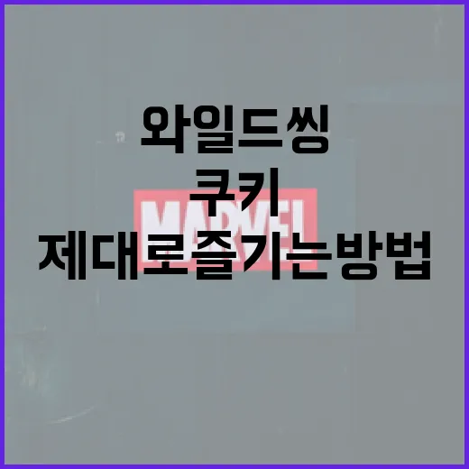 와일드씽 쿠키를 제대로 즐기는 방법 - 요약
