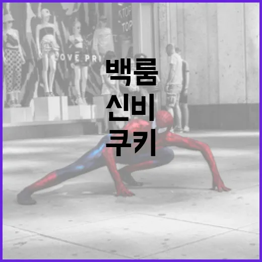 백룸 쿠키: 신비로운 맛의 세계로 안내합니다 - 요약