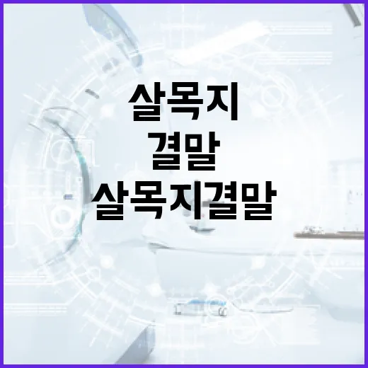 살목지 결말을 이해하는 방법 - 요약