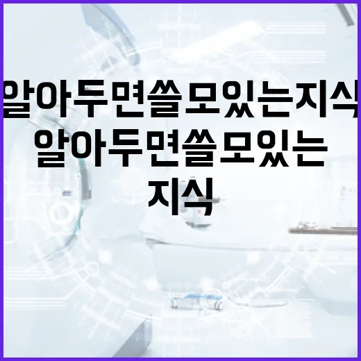 살목지 해석: 알아두면 쓸모 있는 지식 - 요약