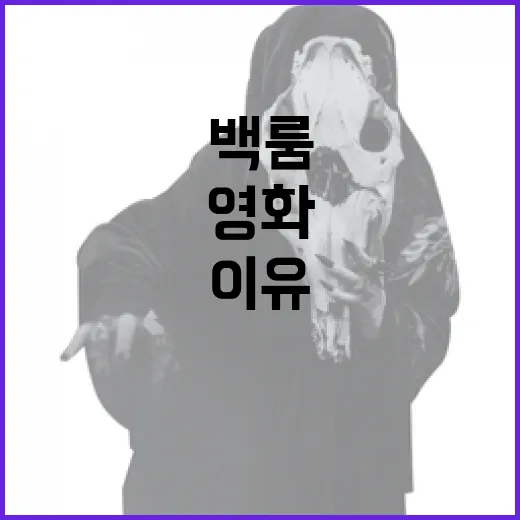 백룸 영화의 매력을 파헤쳐보자: 놓치지 말아야 할 이유 - 요약