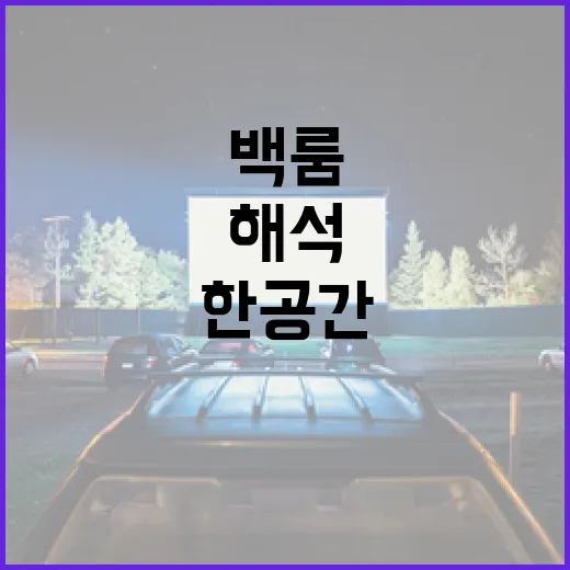 와일드 씽 정보를 알아보는 방법 - 요약