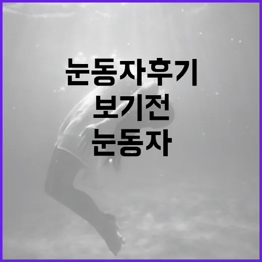 눈동자 후기, 보기 전에 어떤 분위기인지 궁금하신가요? - 요약