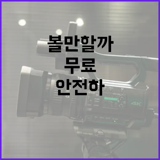 무료영화, 어디서 봐야 안전하고 볼 만할까요? - 요약