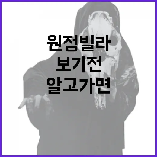 원정빌라 보기 전, 어떤 점을 알고 가면 좋을까요? - 요약