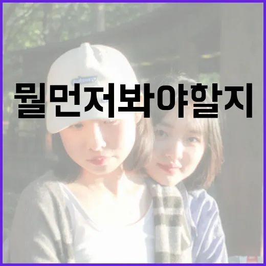 OTT순위, 지금 뭘 먼저 봐야 할지 헷갈리신가요? - 요약