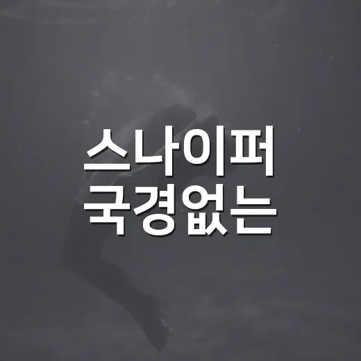 스나이퍼 국경없는, 보기 전에 어떤 작품인지 헷갈리고 계신가요? - 요약