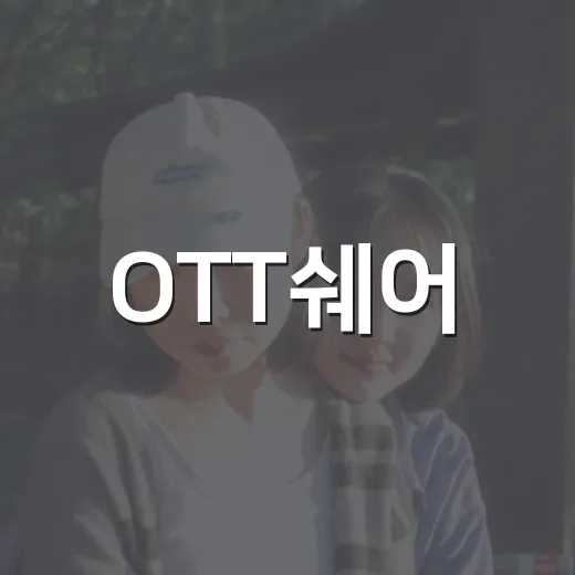 OTT쉐어, 싸게 보는 방법만 보고 시작해도 괜찮을까요? - 요약