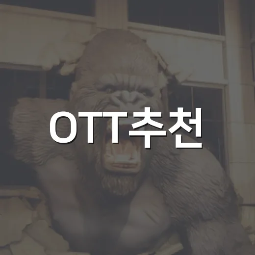OTT추천, 영화 많이 보는 사람은 어떤 조합이 덜 아까울까요? - 요약