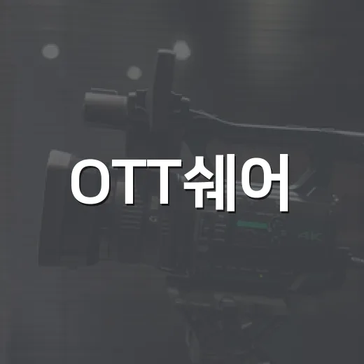 OTT쉐어, 영화 자주 보는 사람에게 정말 괜찮은 선택일까요? - 요약
