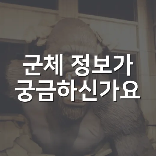 군체 정보가 궁금하신가요? 보기 전 체크할 포인트는 무엇일까요? - 요약