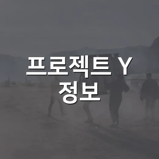 프로젝트 Y 정보, 보기 전 어떤 점이 궁금하신가요? - 요약