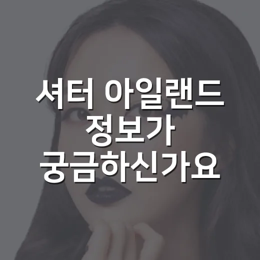 셔터 아일랜드 정보가 궁금하신가요? 보기 전에 알아두면 좋은 관람 포인트 - 요약