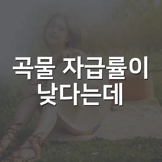 곡물 자급률이 낮다는데, 우리 밥상은 왜 아직 멀쩡해 보일까요? - 요약