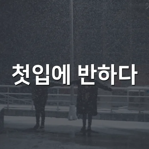 첫입에 반하다, 보기 전에 어떤 작품인지 궁금하신가요? - 요약