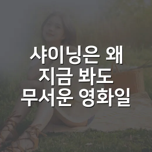 샤이닝은 왜 지금 봐도 무서운 영화일까요? - 요약