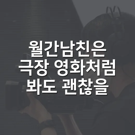 월간남친은 극장 영화처럼 봐도 괜찮을까요? - 요약