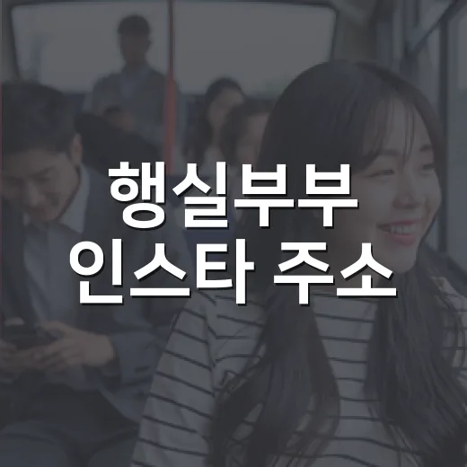행실부부 인스타 주소, 지금도 바로 확인할 수 있을까요? - 요약