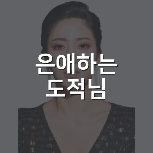은애하는 도적님, 보기 전 어떤 포인트를 알고 가면 좋을까요? - 요약