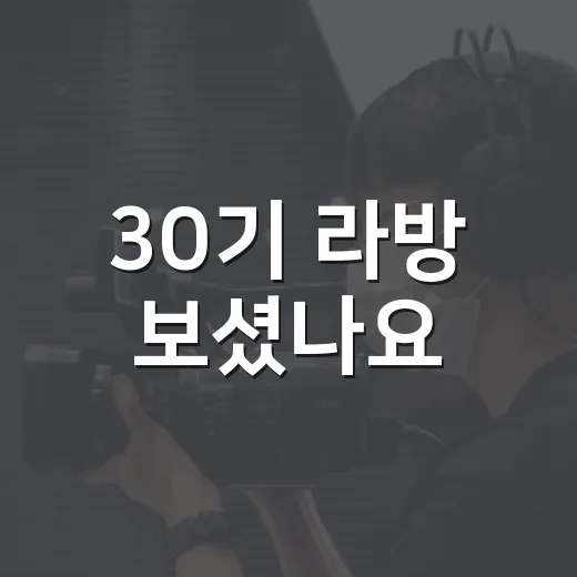 30기 라방 보셨나요? 방송보다 더 궁금했던 분위기는 어땠을까요? - 요약