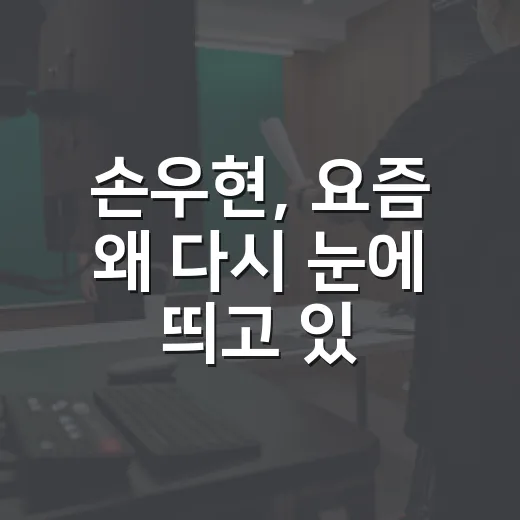 손우현, 요즘 왜 다시 눈에 띄고 있을까요? - 요약