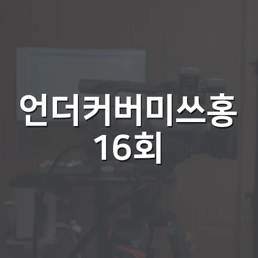 언더커버미쓰홍 16회, 최종회를 보기 전 무엇을 알고 보면 좋을까요? - 요약