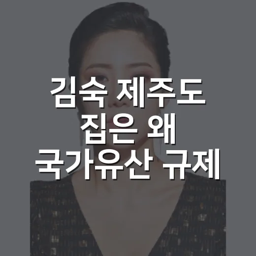 김숙 제주도 집은 왜 국가유산 규제 완화 이슈가 됐을까요? - 요약