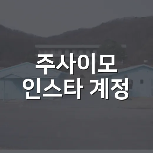 주사이모 인스타 계정, 지금 그대로 믿어도 괜찮을까요? - 요약