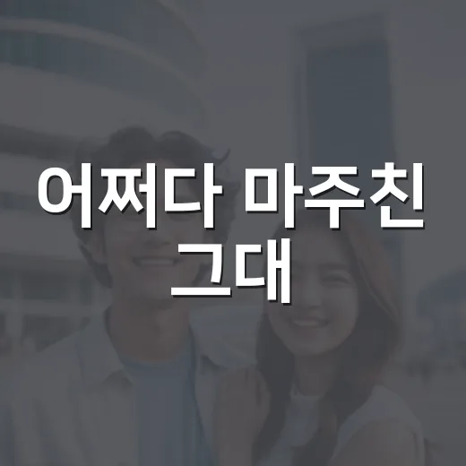 어쩌다 마주친 그대, 보기 전에 무엇을 알고 보면 더 재미있을까요? - 요약