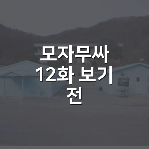 모자무싸 12화 보기 전, 최종회에서 무엇을 알고 가면 좋을까요? - 요약
