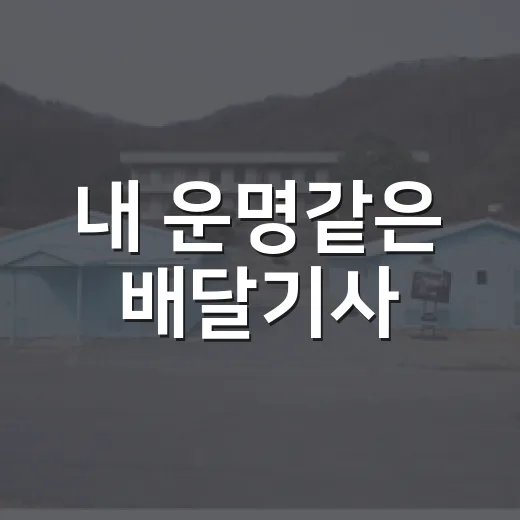 내 운명같은 배달기사, 영화처럼 검색되는데 어디서 봐야 할까요? - 요약