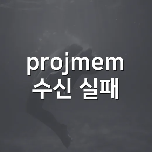 projmem 수신 실패 - 요약