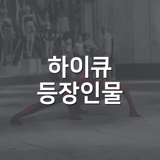 하이큐 등장인물, 처음 볼 때 누구부터 알면 좋을까요? - 요약