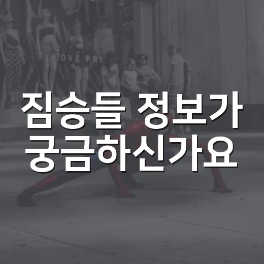 짐승들 정보가 궁금하신가요, 공개 전후로 알고 보면 좋은 점은? - 요약