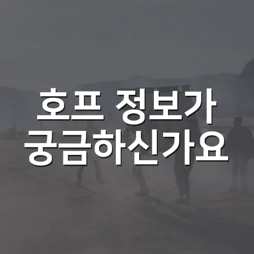 호프 정보가 궁금하신가요? - 요약