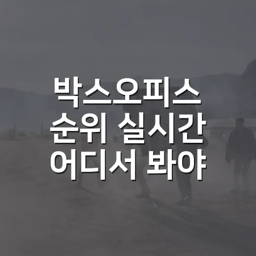 박스오피스 순위 실시간 어디서 봐야 할까요? - 요약