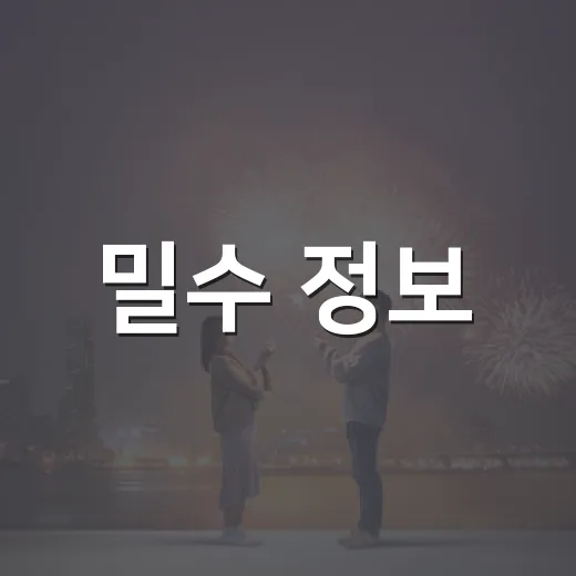 밀수 정보, 보기 전에 무엇을 알면 좋을까요? - 요약