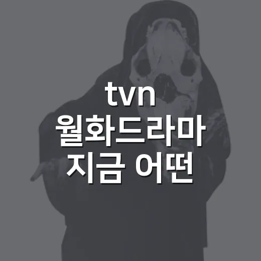 tvn 월화드라마 지금 어떤 작품이 방송되나요? - 요약