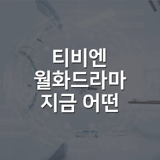 티비엔 월화드라마 지금 어떤 작품이 방송되나요? - 요약