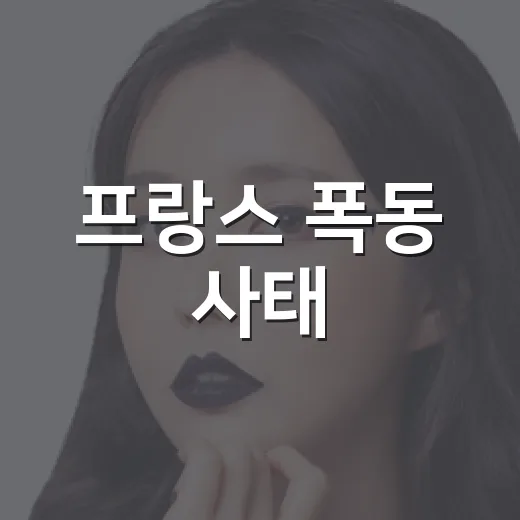 프랑스 폭동 사태, 영화 속 현실화된 경고였을까요? - 요약