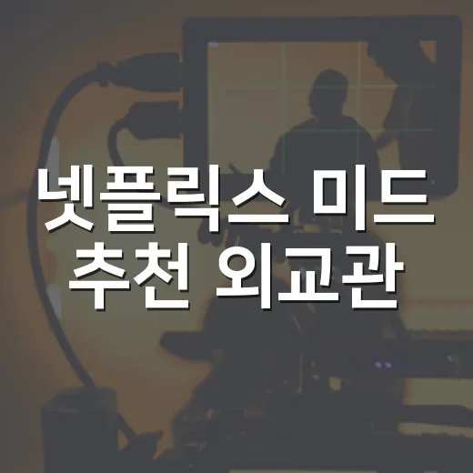 넷플릭스 미드 추천 외교관, 지금 보기 괜찮을까요? - 요약