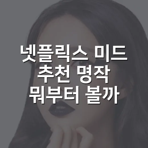 넷플릭스 미드 추천 명작 뭐부터 볼까요? - 요약