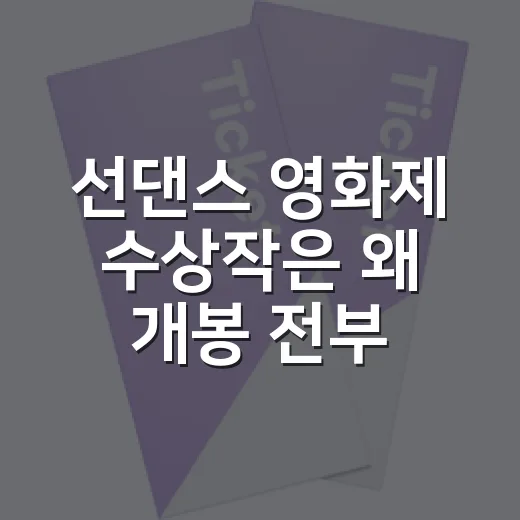 선댄스 영화제 수상작은 왜 개봉 전부터 주목받을까요? - 요약