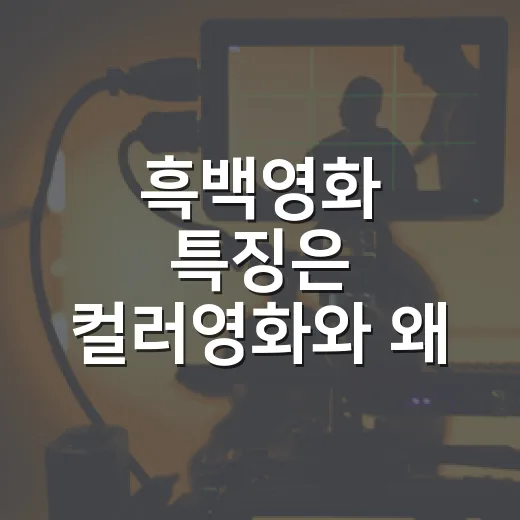 흑백영화 특징은 컬러영화와 왜 다를까요? - 요약