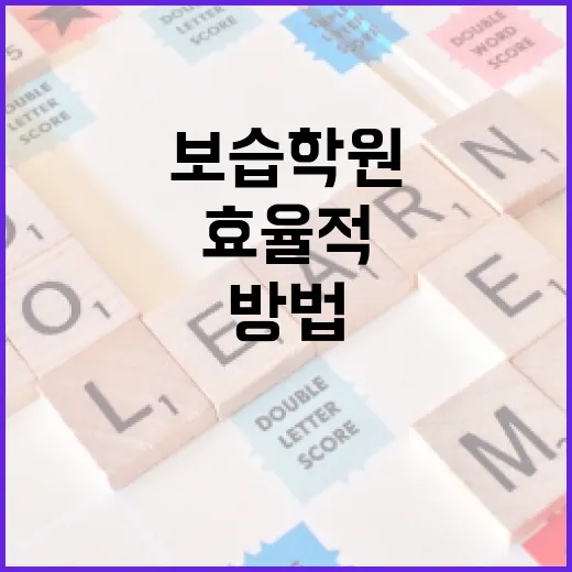 보습학원을 효율적으로 선택하는 방법 - 요약