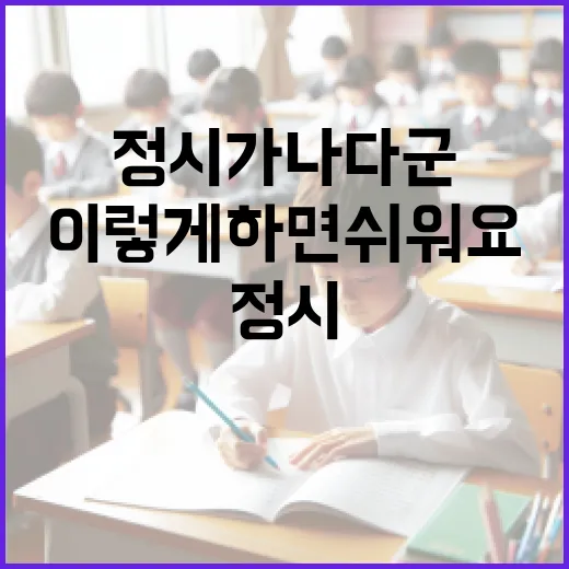 정시가나다군 선택, 이렇게 하면 쉬워요! - 요약